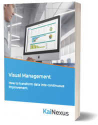 eBook Visual Management
